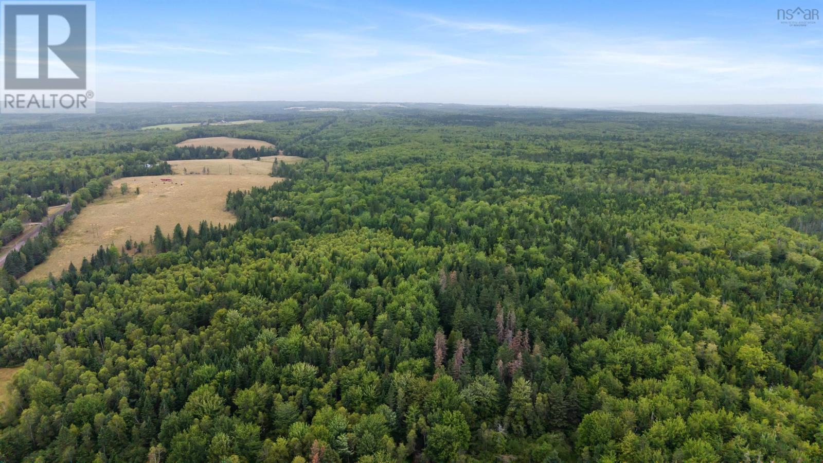 360 Burris Road, Pleasant Valley, Nova Scotia  B0N 1C0 - Photo 5 - 202529561