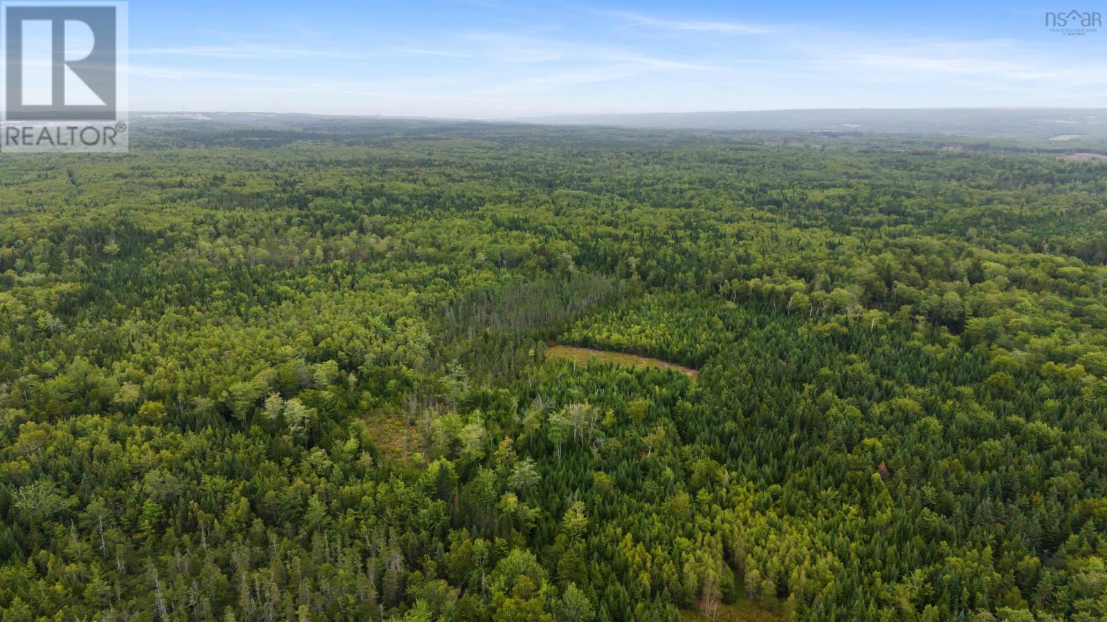 360 Burris Road, Pleasant Valley, Nova Scotia  B0N 1C0 - Photo 6 - 202529561