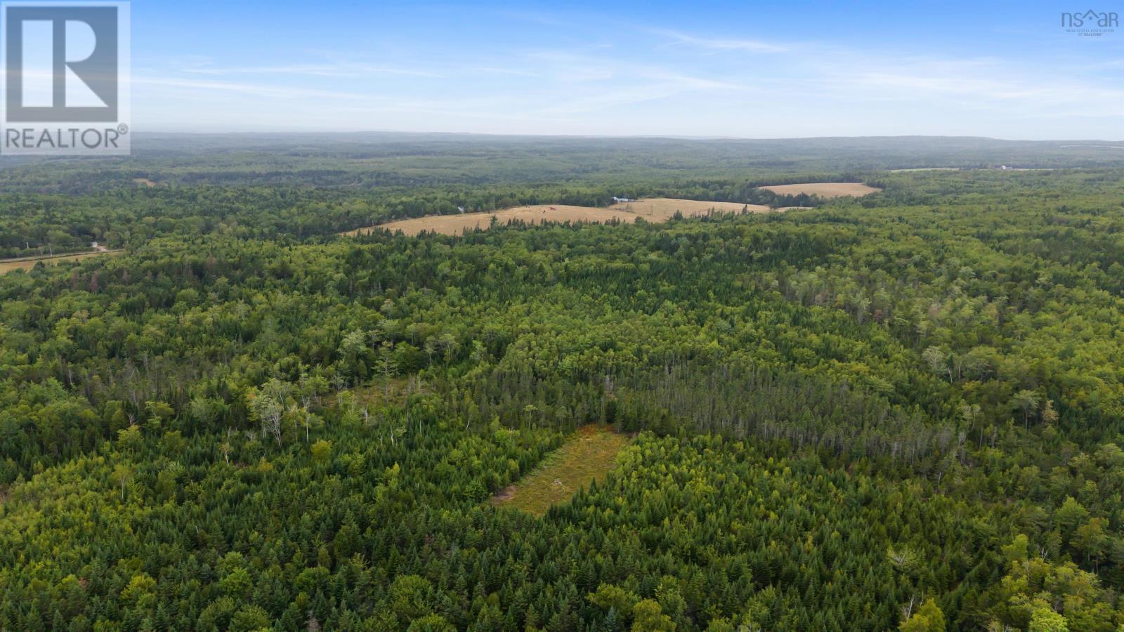 360 Burris Road, Pleasant Valley, Nova Scotia  B0N 1C0 - Photo 8 - 202529561