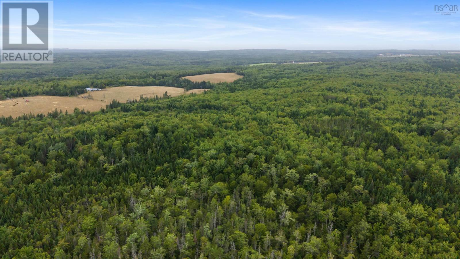 360 Burris Road, Pleasant Valley, Nova Scotia  B0N 1C0 - Photo 9 - 202529561