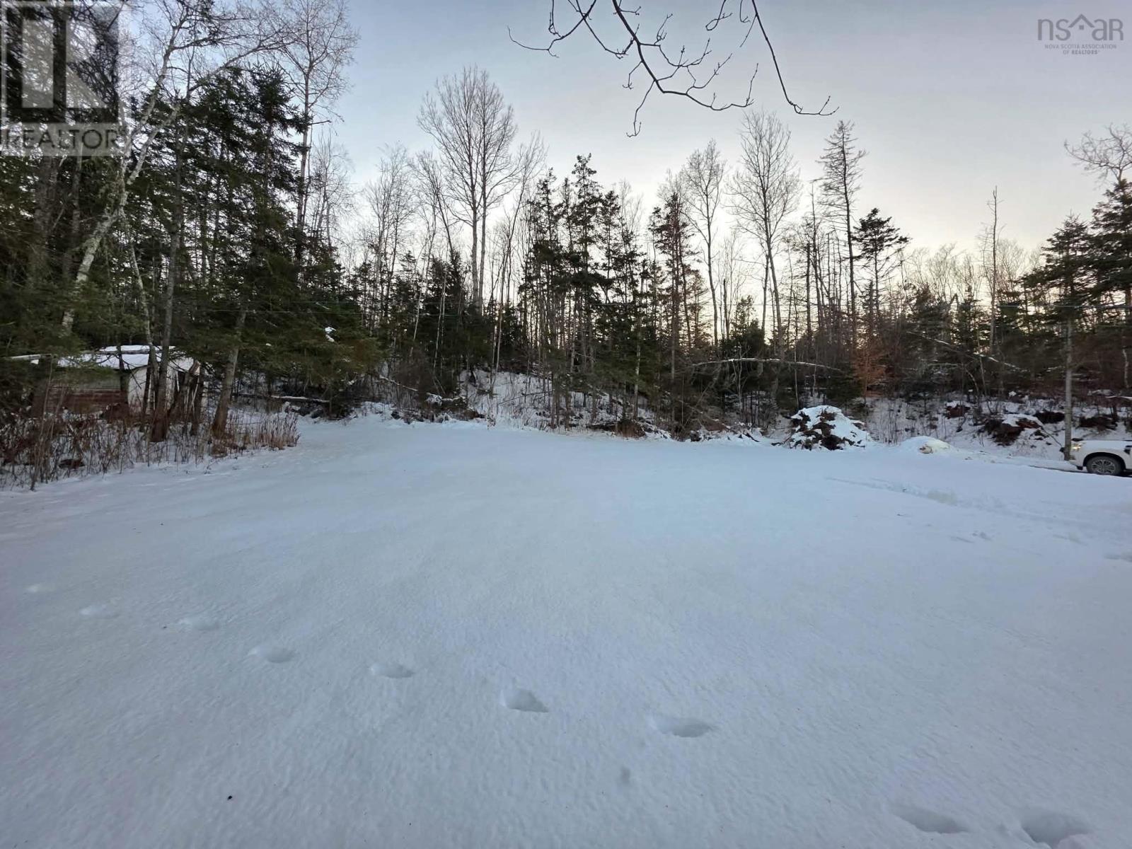 156 Greenfield Road, Murray Siding, Nova Scotia  B6L 3M4 - Photo 11 - 202529590