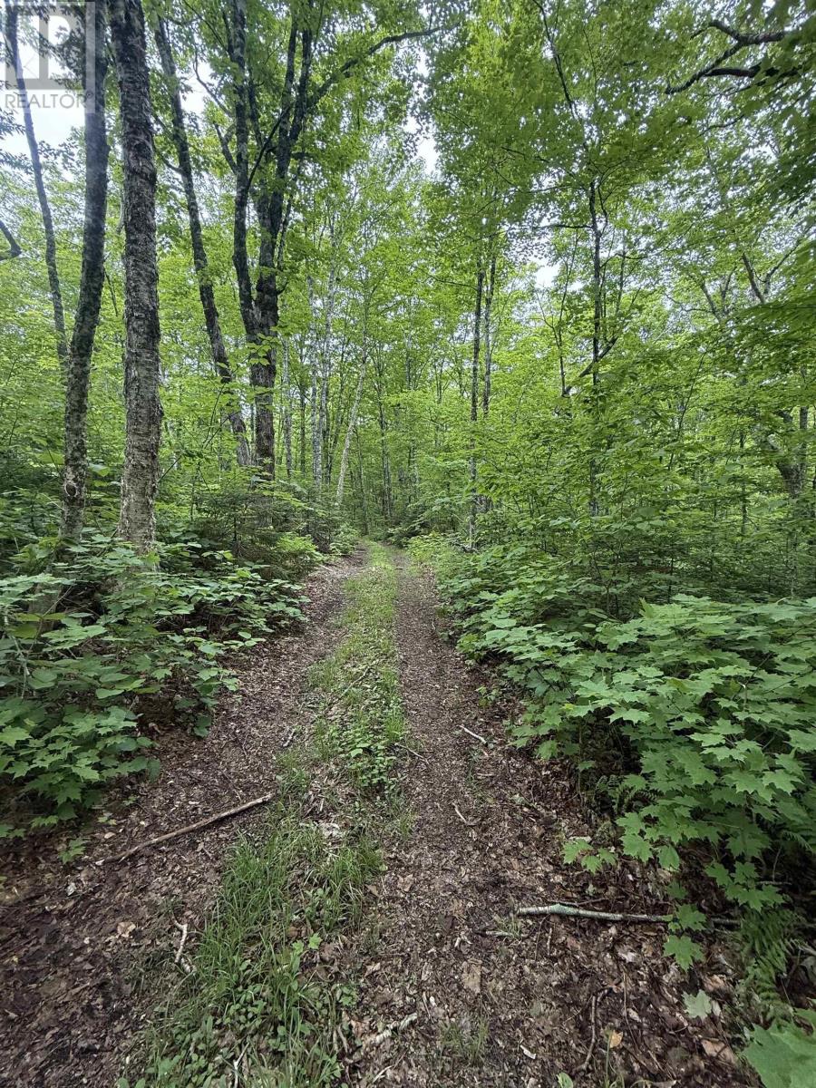 Lot Pid#20098885 Truro Road, New Annan, Nova Scotia  B0K 1V0 - Photo 2 - 202529594