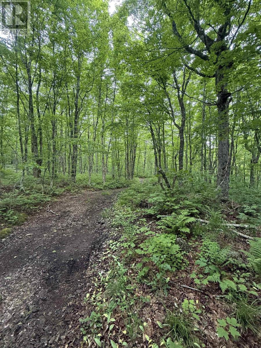 Lot Pid#20098885 Truro Road, New Annan, Nova Scotia  B0K 1V0 - Photo 4 - 202529594