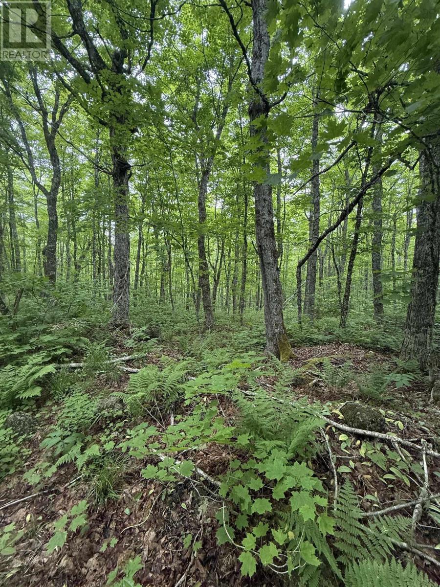 Lot Pid#20098885 Truro Road, New Annan, Nova Scotia  B0K 1V0 - Photo 5 - 202529594