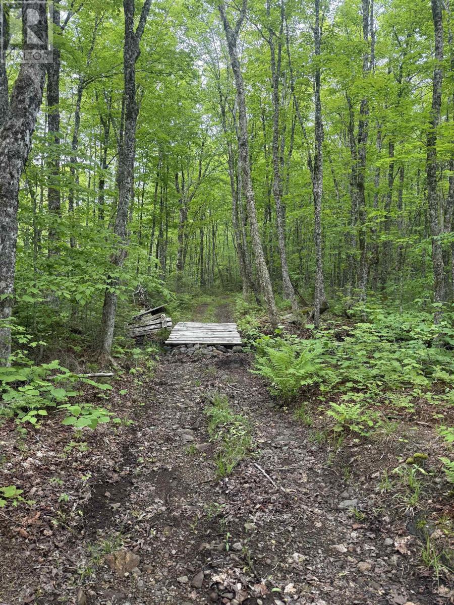 Lot Pid#20098885 Truro Road, New Annan, Nova Scotia  B0K 1V0 - Photo 7 - 202529594