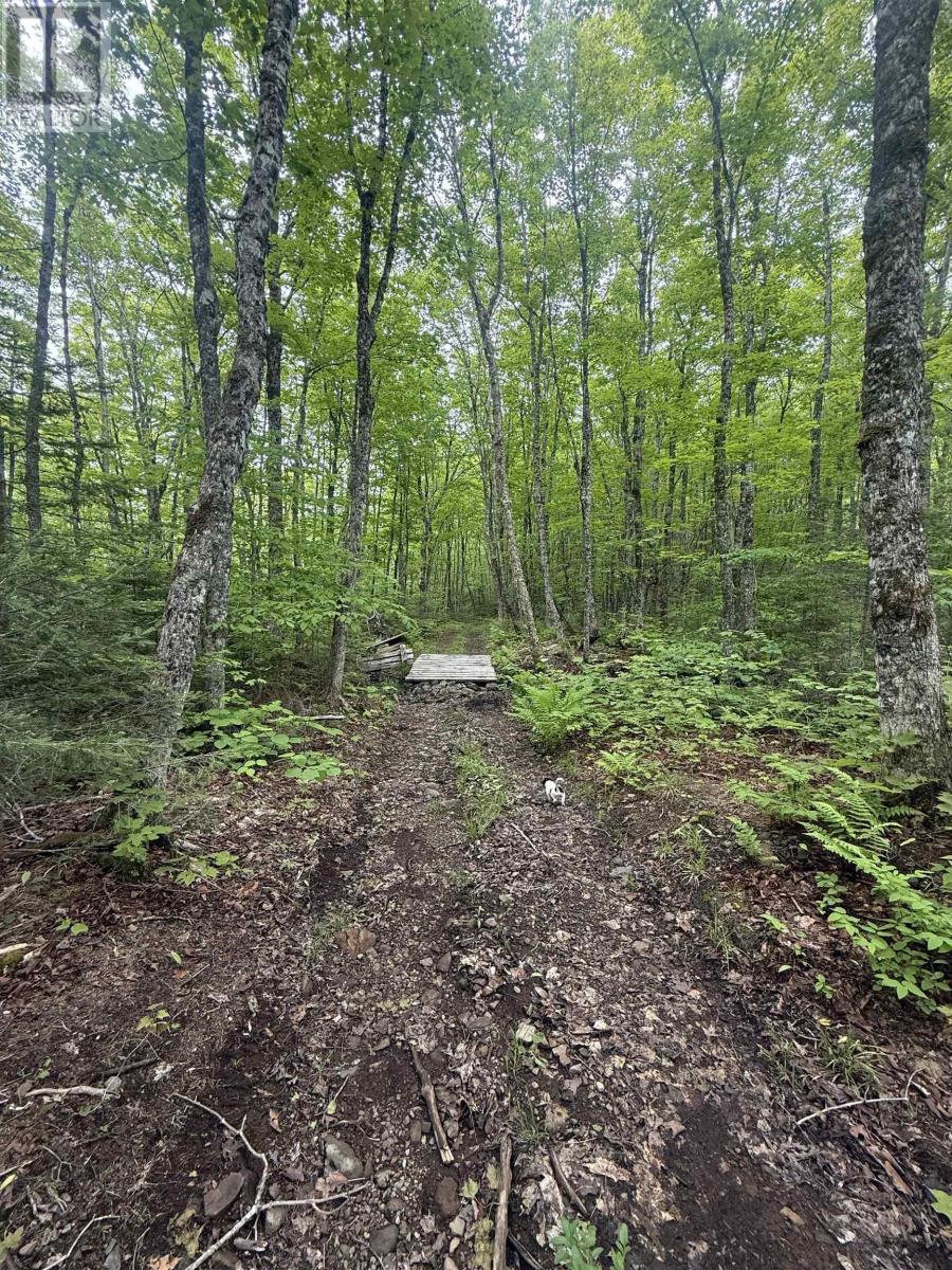 Lot Pid#20098885 Truro Road, New Annan, Nova Scotia  B0K 1V0 - Photo 8 - 202529594