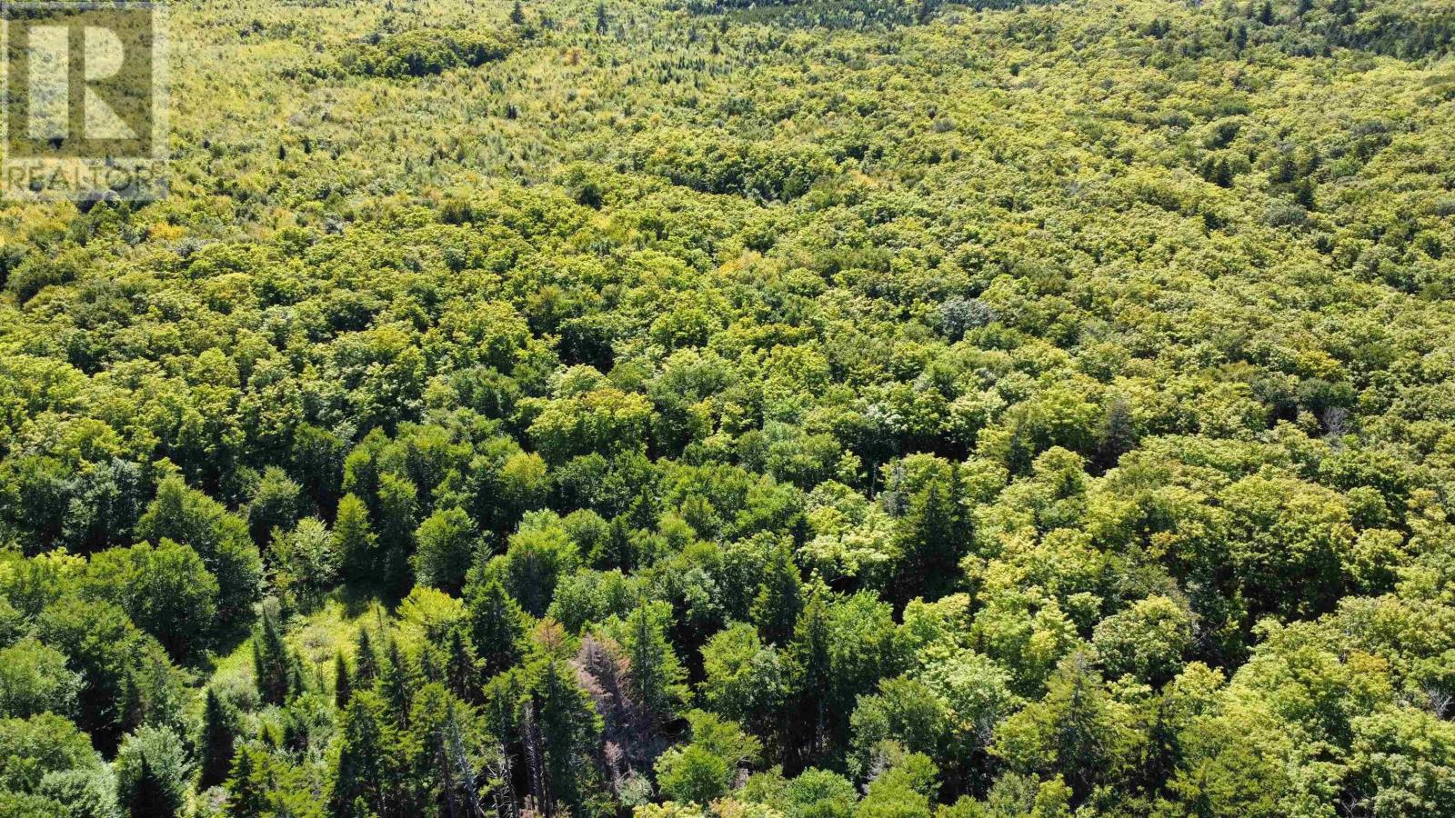 Lot Pid#20098885 Truro Road, New Annan, Nova Scotia  B0K 1V0 - Photo 9 - 202529594