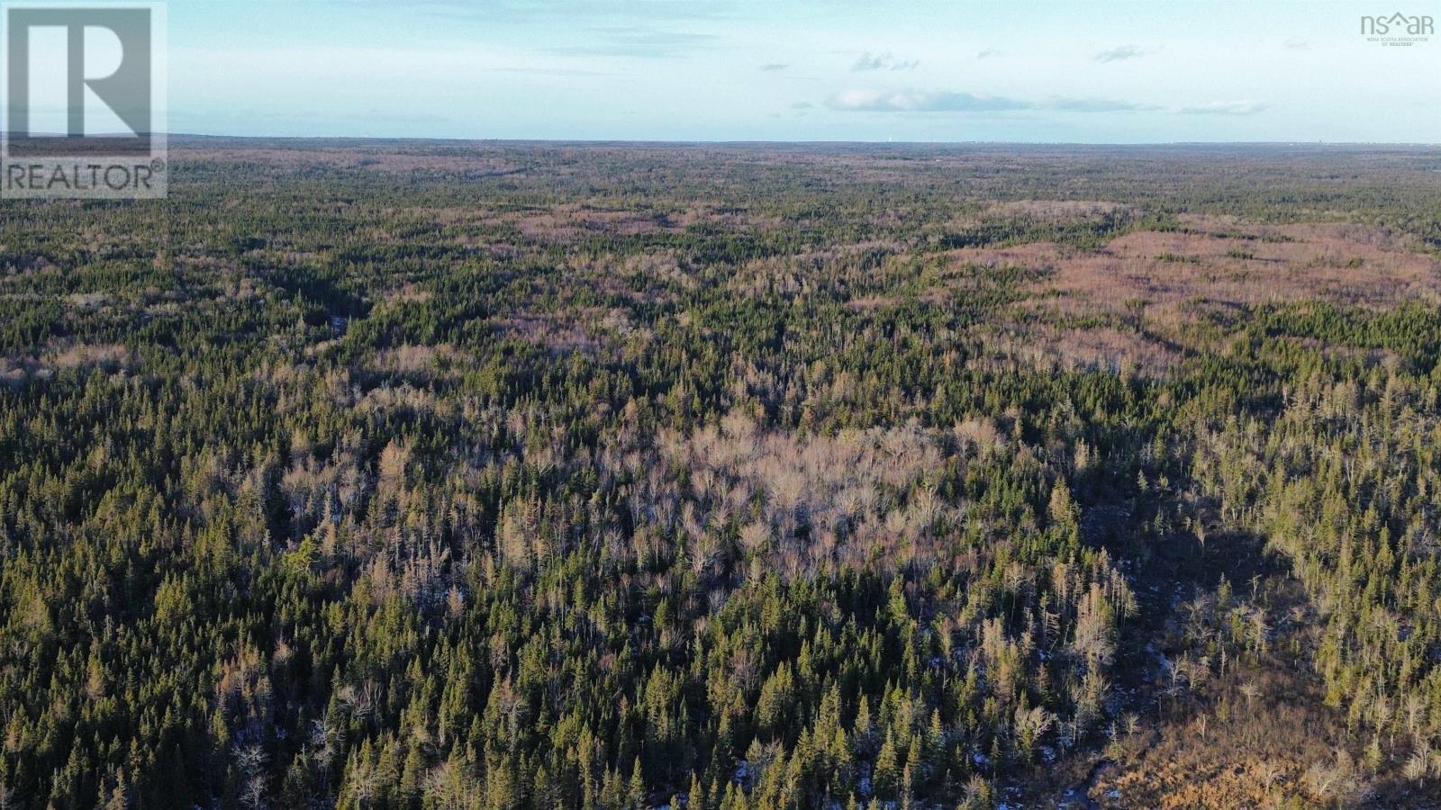 Hornes Road, Albert Bridge, Nova Scotia  B1K 2Y9 - Photo 9 - 202529617