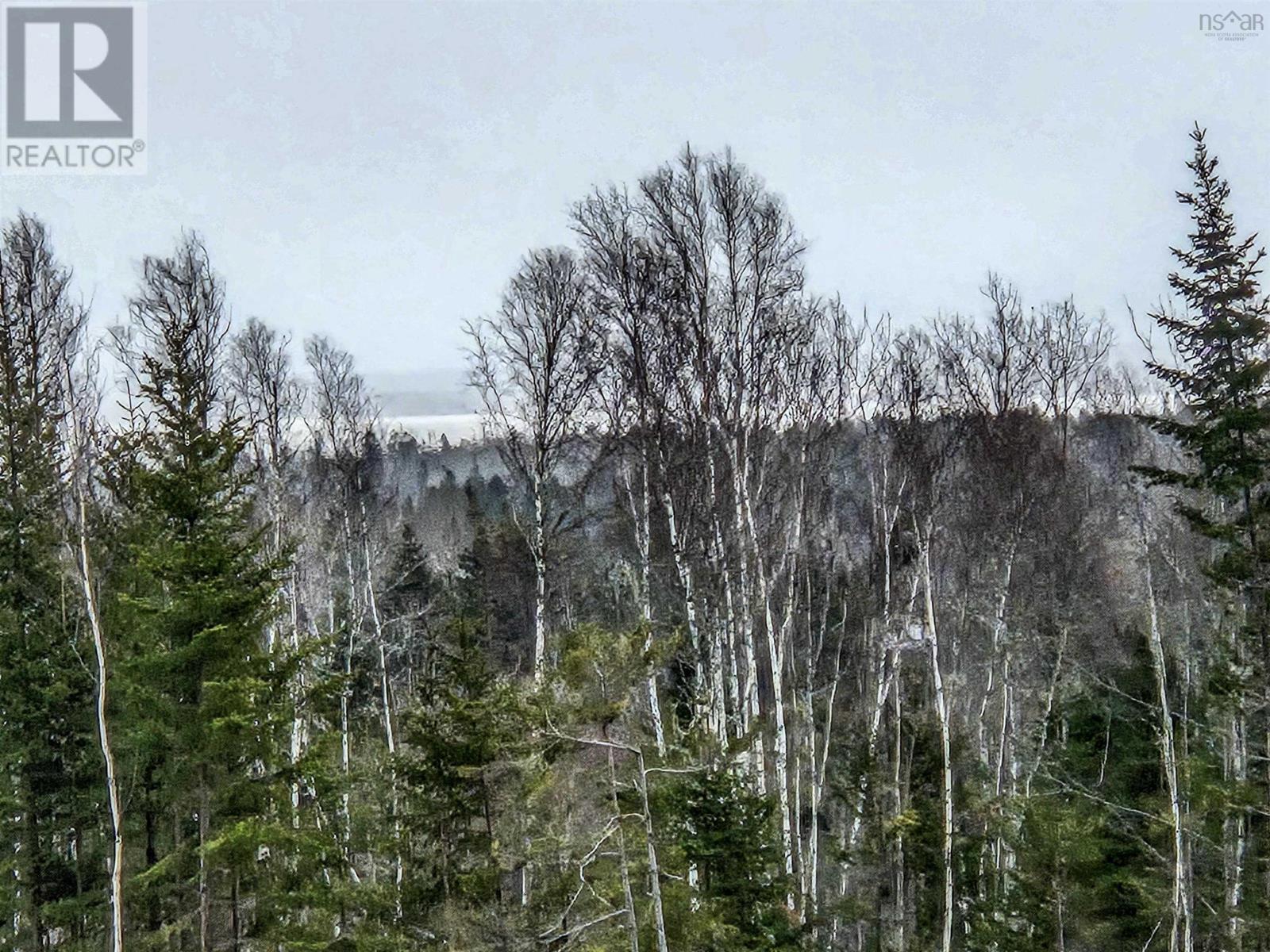 Lot Economy River Road, Economy, Nova Scotia  B0M 1B0 - Photo 3 - 202529645