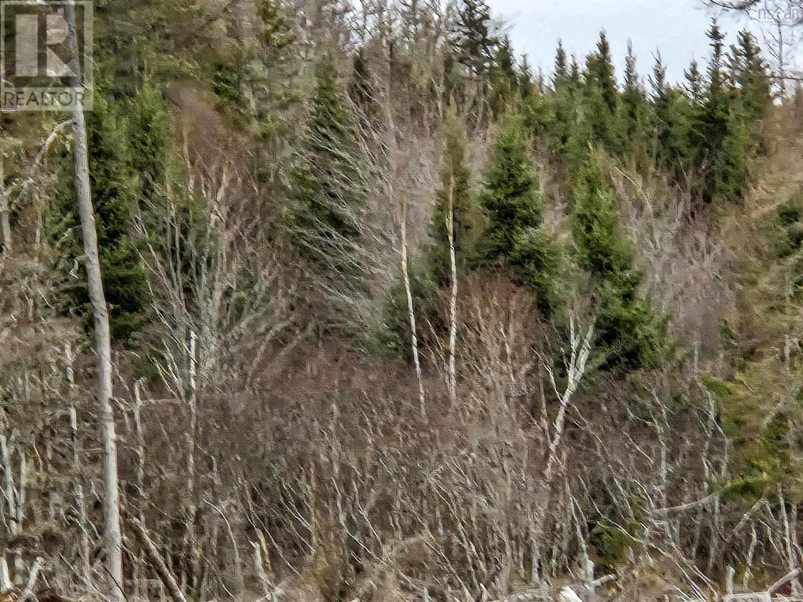 Lot Economy River Road, Economy, Nova Scotia  B0M 1B0 - Photo 4 - 202529645