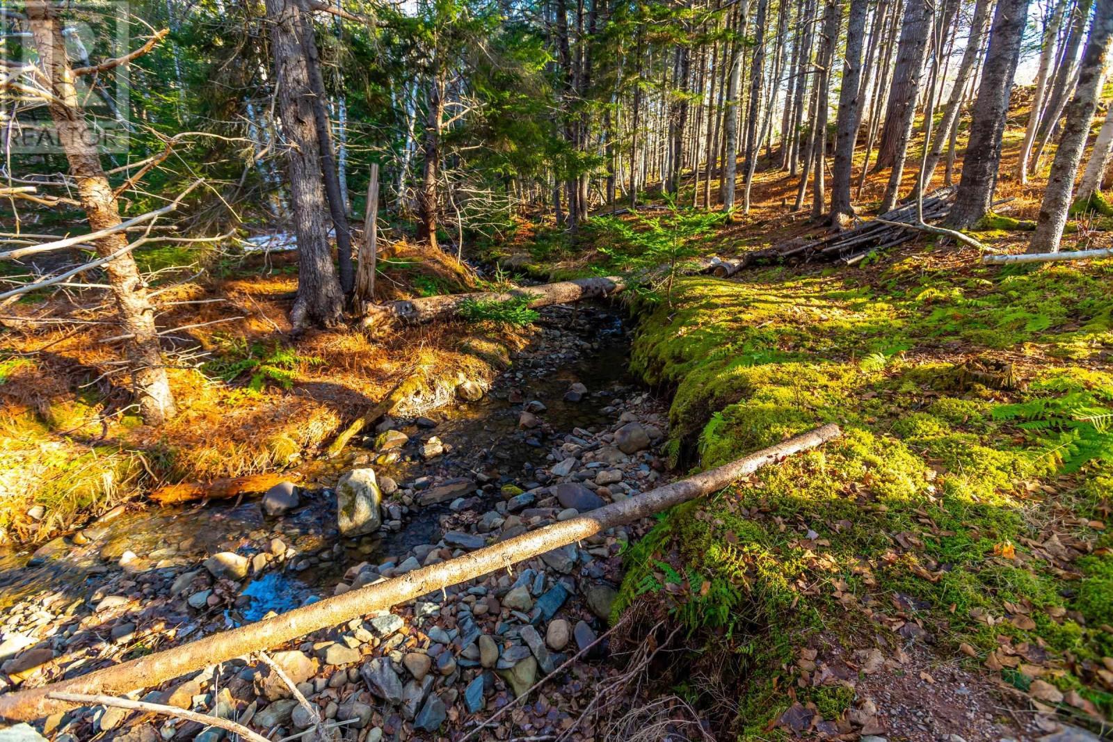 207 Old Post Road, Clementsport, Nova Scotia  B0S 0A2 - Photo 19 - 202529694