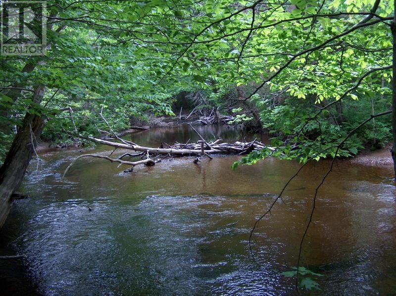 Three Rivers Road, Framboise, Nova Scotia  B2J 1H7 - Photo 3 - 202529695