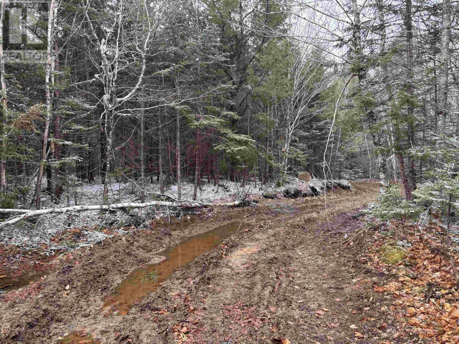 Lot (Pid 05046693) Victory Road, Victory, Nova Scotia  B0S 1A0 - Photo 10 - 202529718