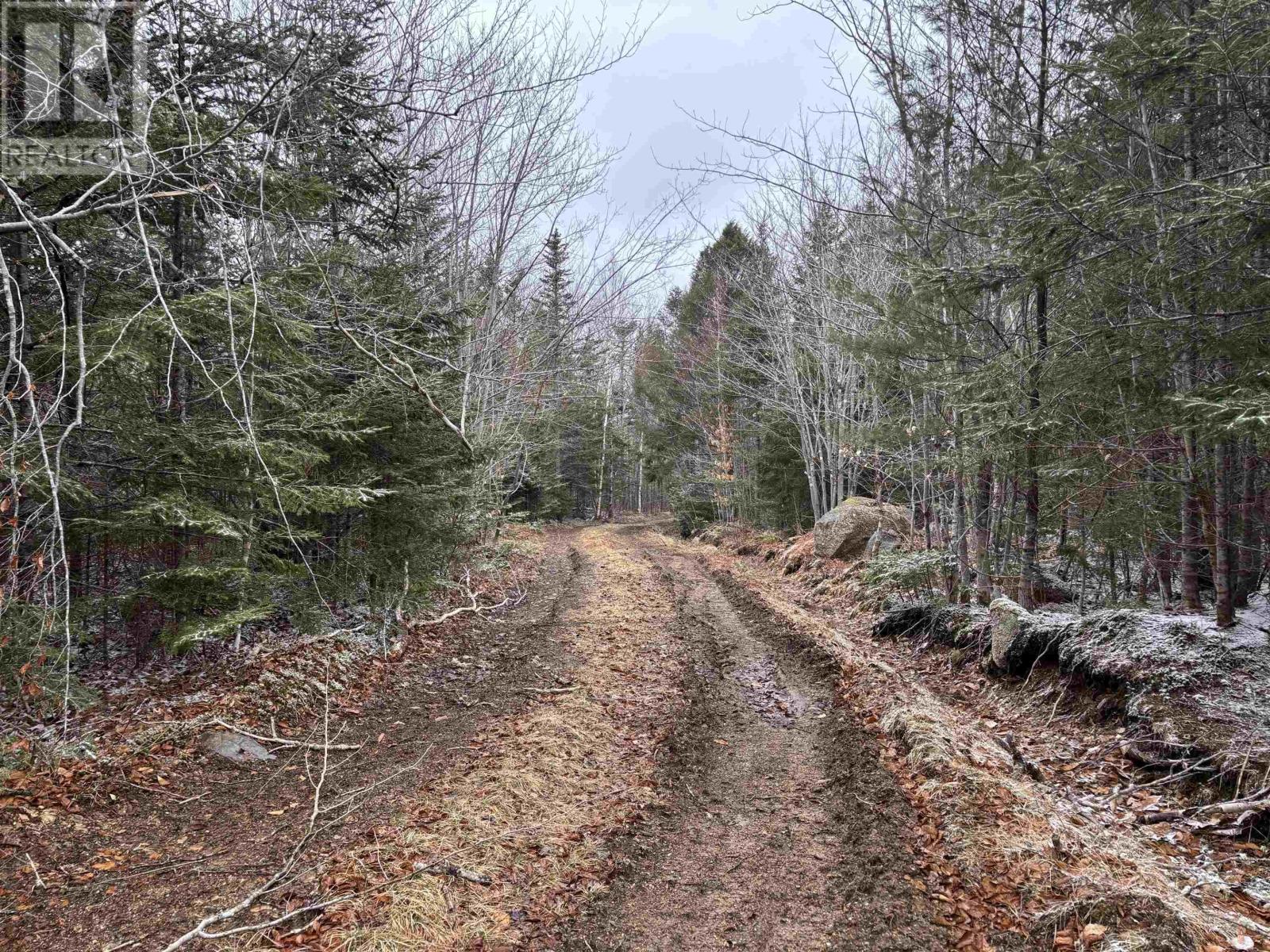 Lot (Pid 05046693) Victory Road, Victory, Nova Scotia  B0S 1A0 - Photo 11 - 202529718