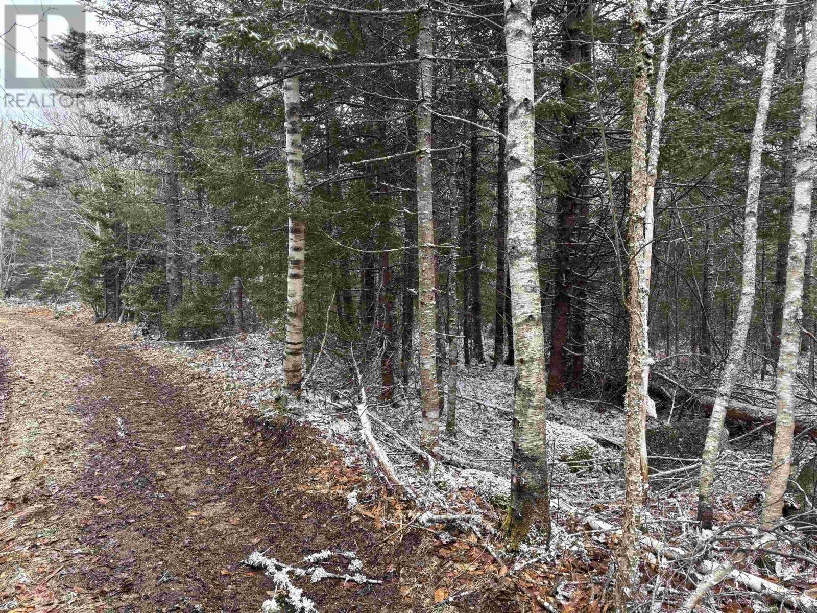 Lot (Pid 05046693) Victory Road, Victory, Nova Scotia  B0S 1A0 - Photo 14 - 202529718