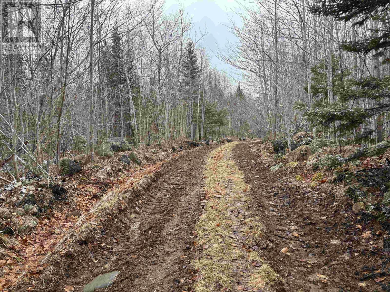 Lot (Pid 05046693) Victory Road, Victory, Nova Scotia  B0S 1A0 - Photo 15 - 202529718