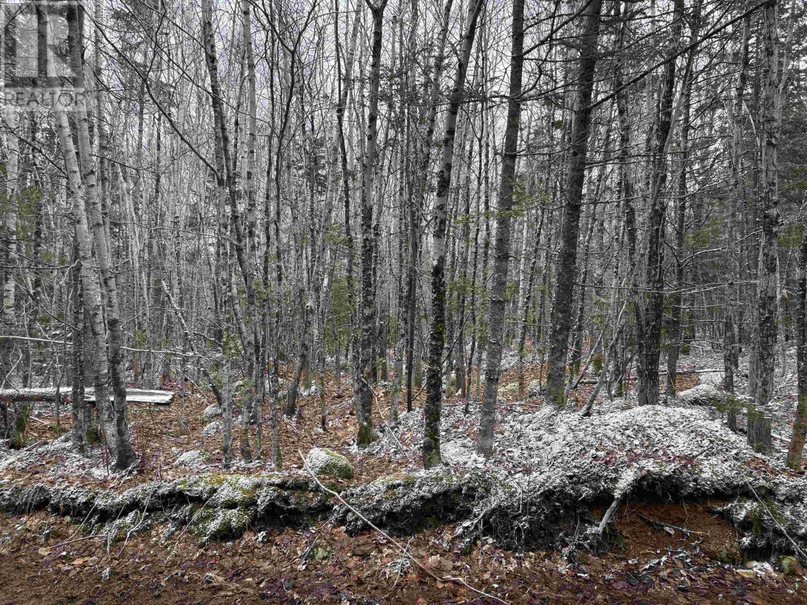 Lot (Pid 05046693) Victory Road, Victory, Nova Scotia  B0S 1A0 - Photo 16 - 202529718