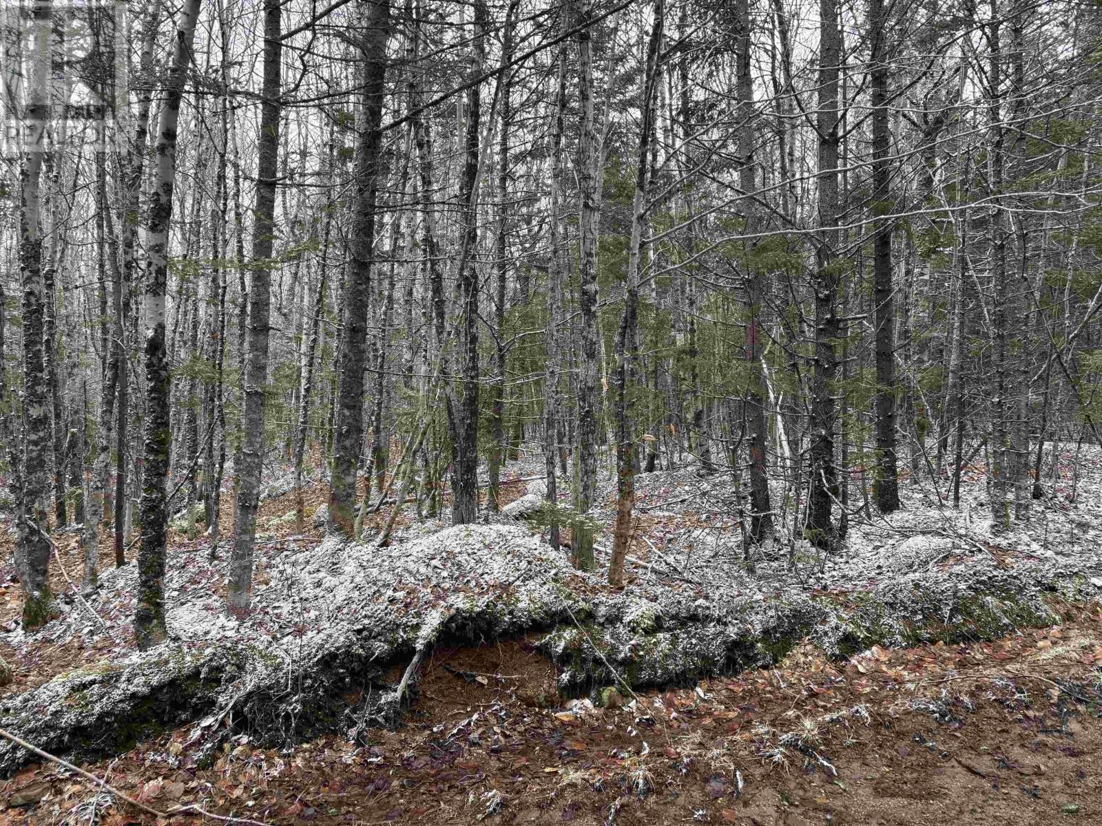 Lot (Pid 05046693) Victory Road, Victory, Nova Scotia  B0S 1A0 - Photo 18 - 202529718