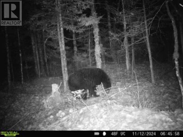 Lot (Pid 05046693) Victory Road, Victory, Nova Scotia  B0S 1A0 - Photo 19 - 202529718