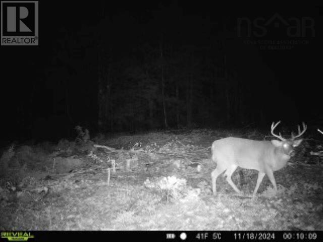 Lot (Pid 05046693) Victory Road, Victory, Nova Scotia  B0S 1A0 - Photo 20 - 202529718