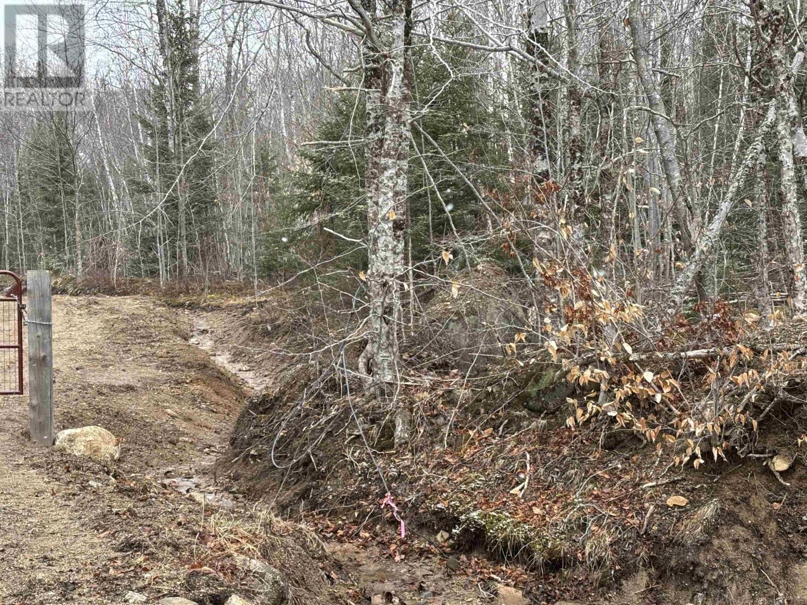 Lot (Pid 05046693) Victory Road, Victory, Nova Scotia  B0S 1A0 - Photo 4 - 202529718