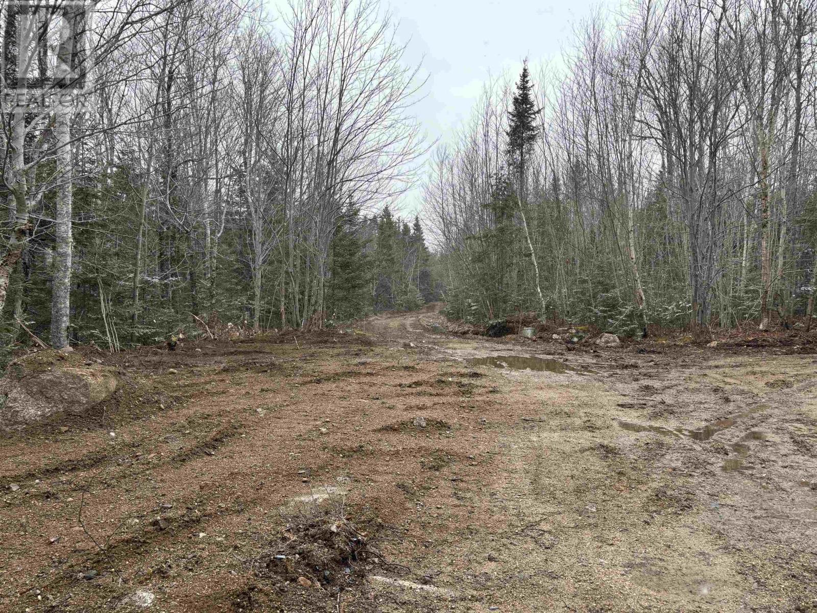 Lot (Pid 05046693) Victory Road, Victory, Nova Scotia  B0S 1A0 - Photo 5 - 202529718