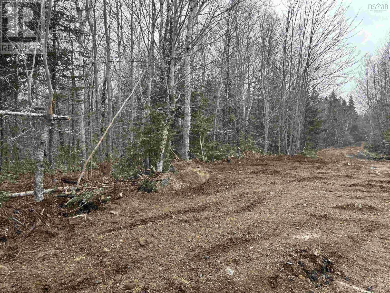 Lot (Pid 05046693) Victory Road, Victory, Nova Scotia  B0S 1A0 - Photo 6 - 202529718