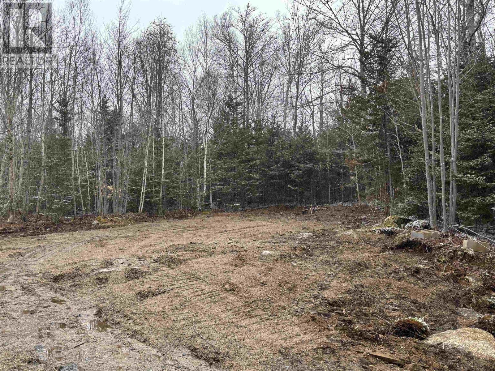 Lot (Pid 05046693) Victory Road, Victory, Nova Scotia  B0S 1A0 - Photo 7 - 202529718