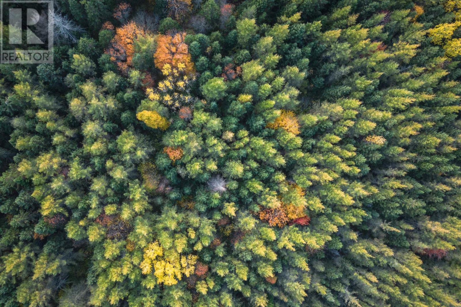 Lot 1 Highway 19 Highway, Long Point, Nova Scotia  B0E 1P0 - Photo 10 - 202529773