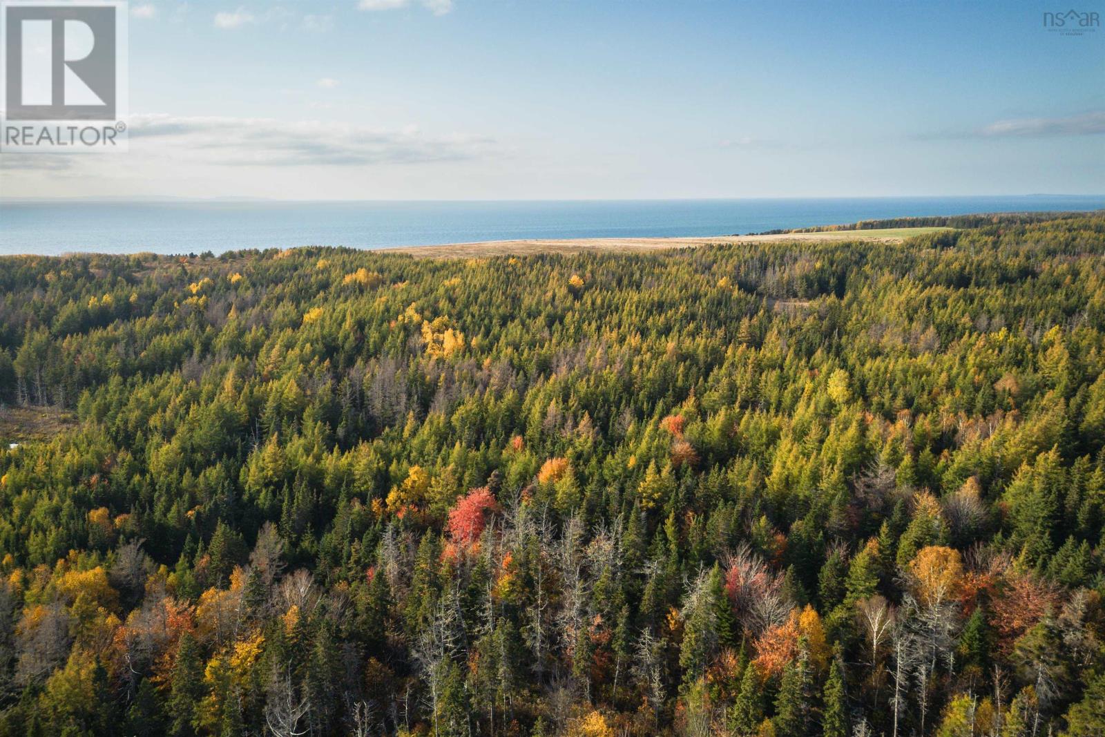 Lot 1 Highway 19 Highway, Long Point, Nova Scotia  B0E 1P0 - Photo 4 - 202529773