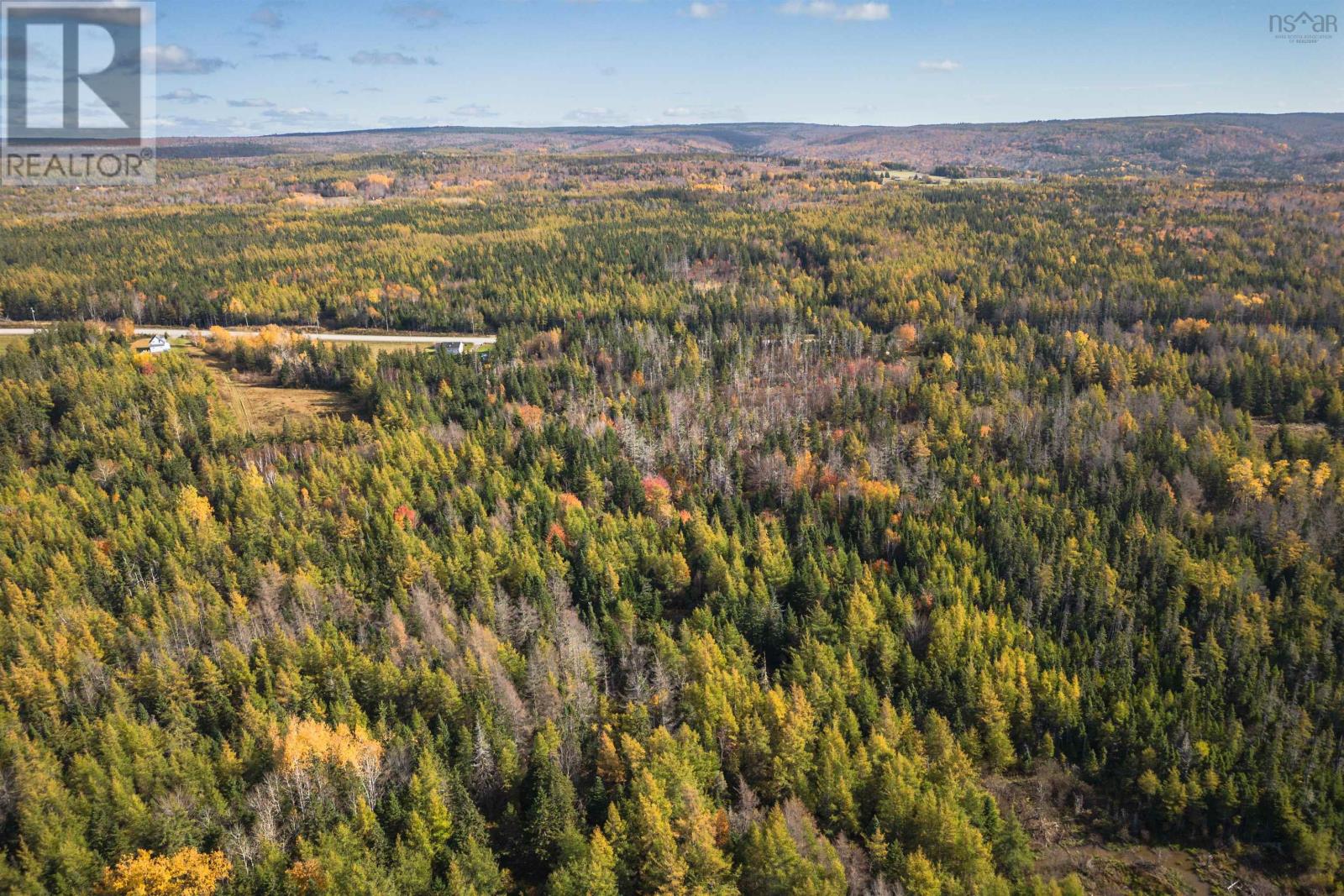 Lot 1 Highway 19 Highway, Long Point, Nova Scotia  B0E 1P0 - Photo 9 - 202529773