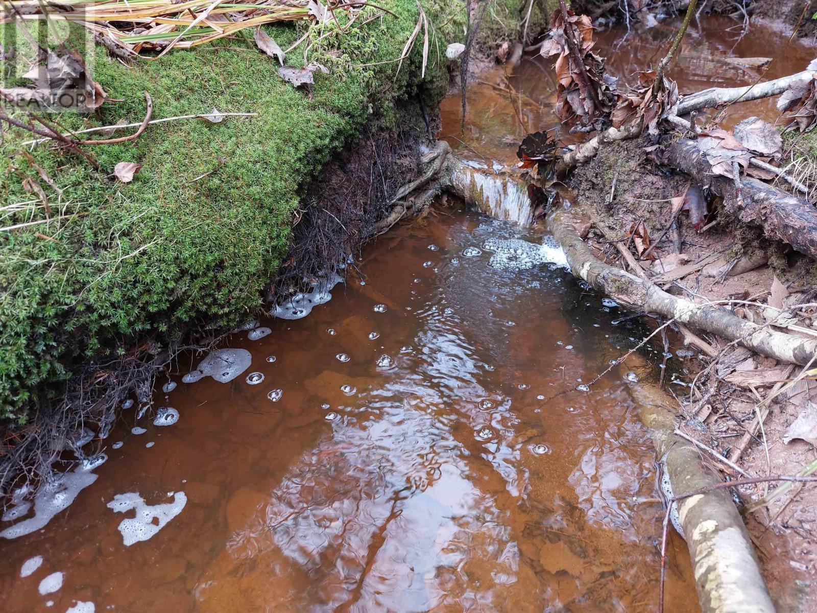 Lot 25 Beaver Lane, Grantville, Nova Scotia  B0E 1J0 - Photo 8 - 202600009