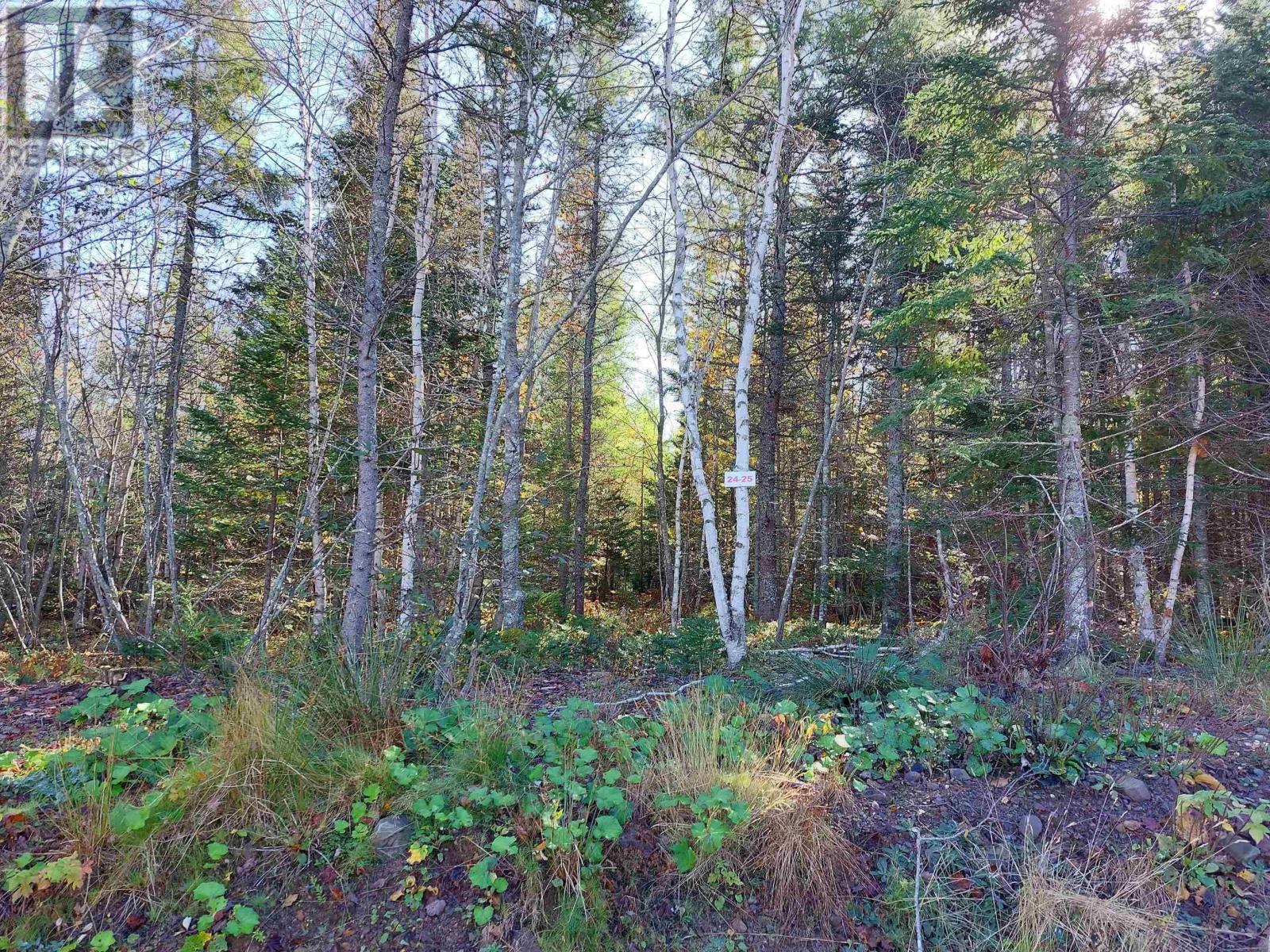 Lot 25 Beaver Lane, Grantville, Nova Scotia  B0E 1J0 - Photo 9 - 202600009