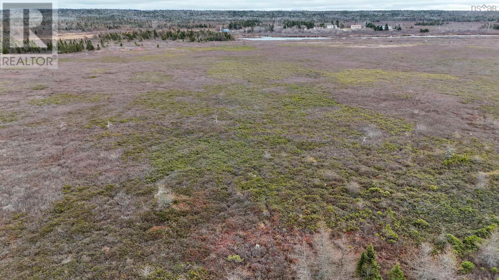 Popes Road, Charlesville, Nova Scotia  B0W 2E0 - Photo 11 - 202600012