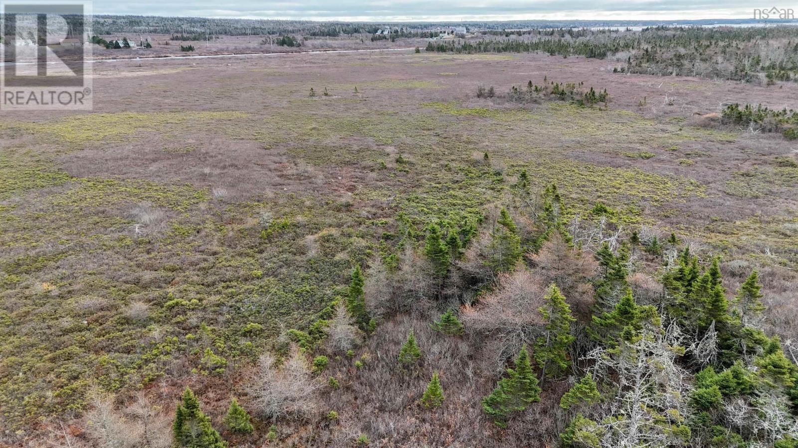 Popes Road, Charlesville, Nova Scotia  B0W 2E0 - Photo 12 - 202600012
