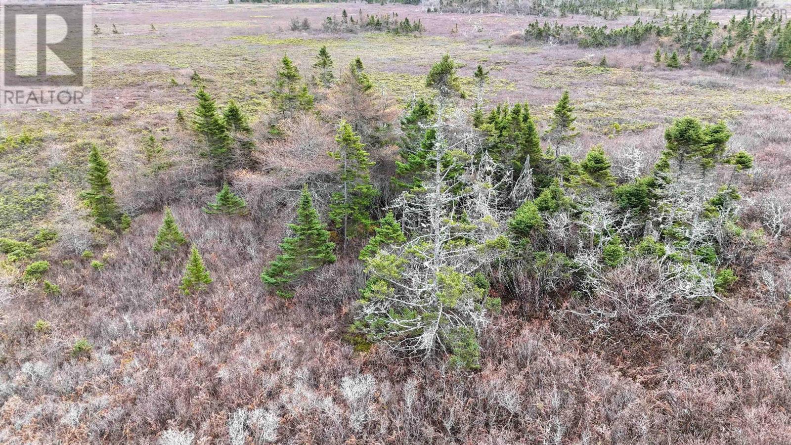 Popes Road, Charlesville, Nova Scotia  B0W 2E0 - Photo 2 - 202600012