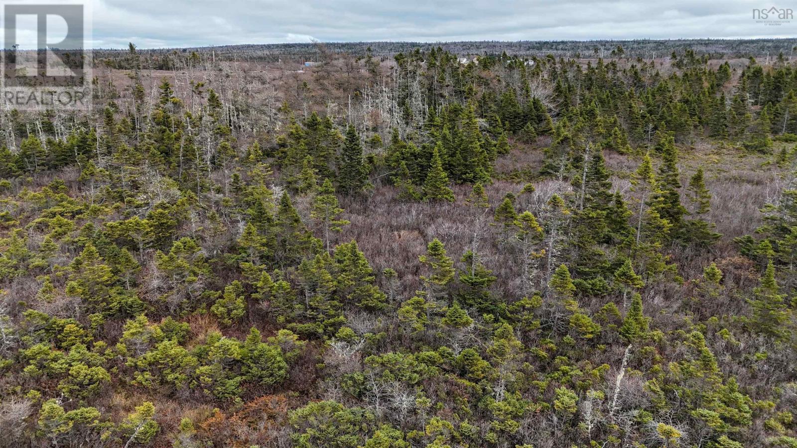 Popes Road, Charlesville, Nova Scotia  B0W 2E0 - Photo 20 - 202600012