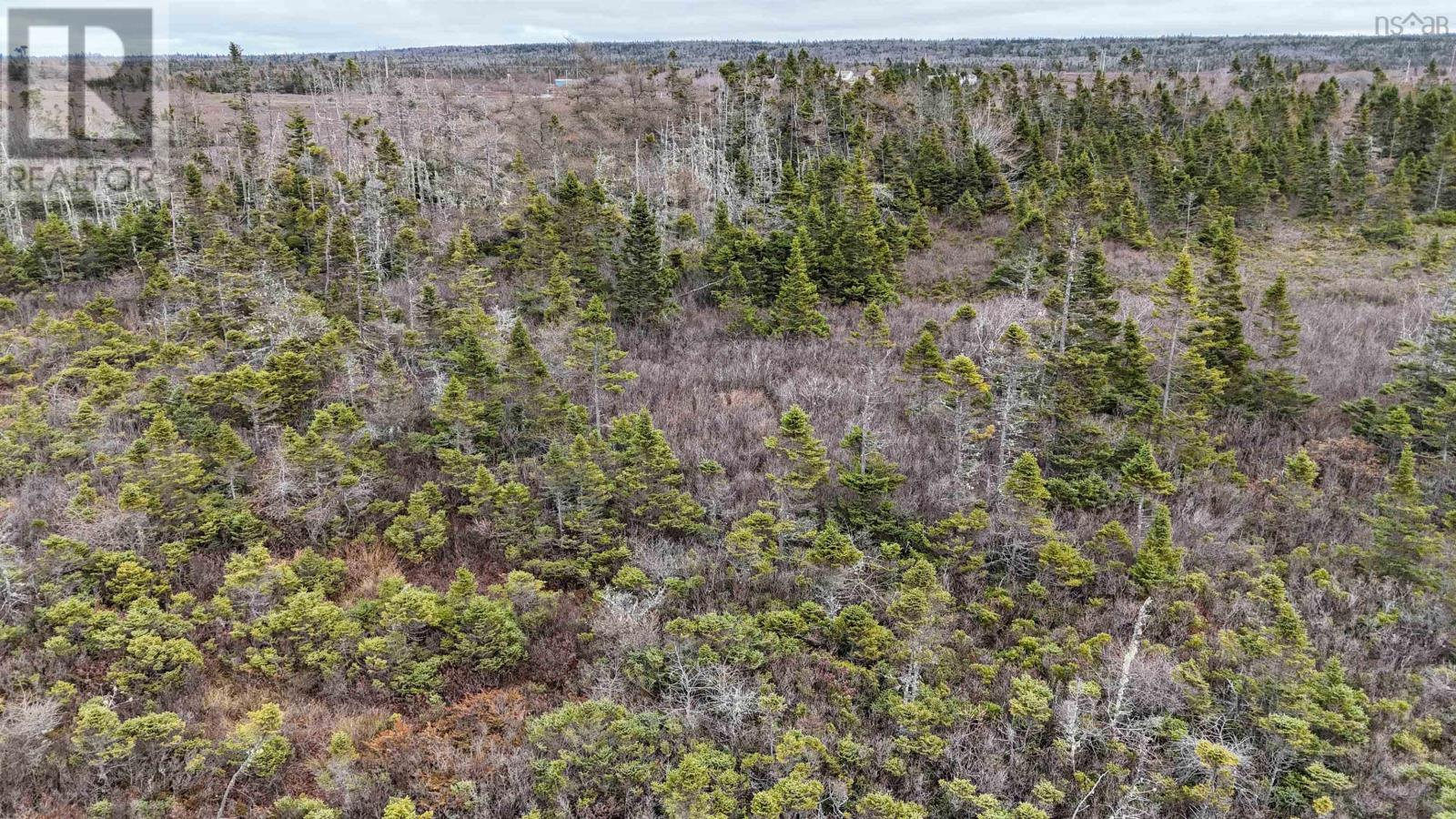 Popes Road, Charlesville, Nova Scotia  B0W 2E0 - Photo 21 - 202600012