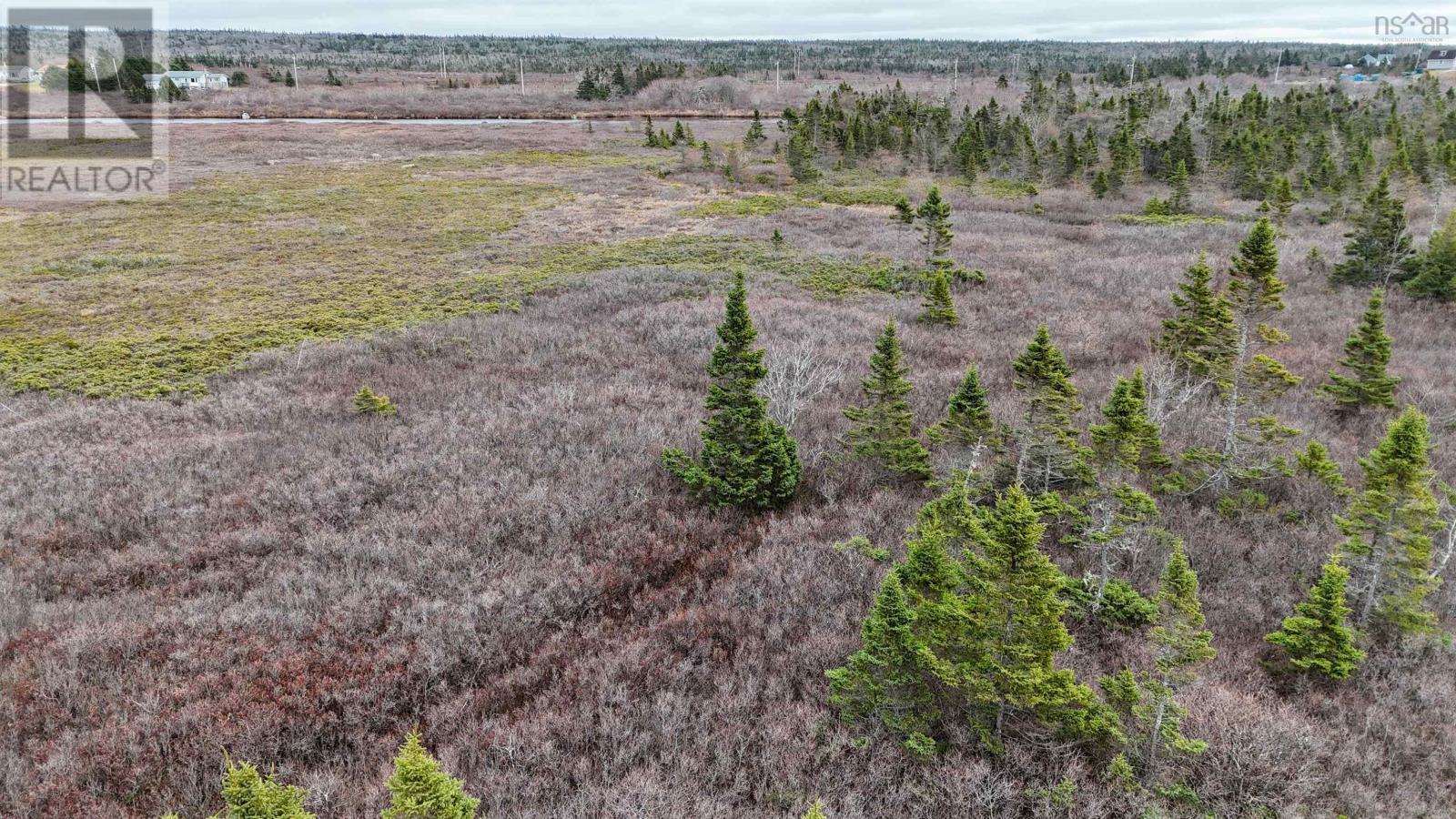 Popes Road, Charlesville, Nova Scotia  B0W 2E0 - Photo 22 - 202600012