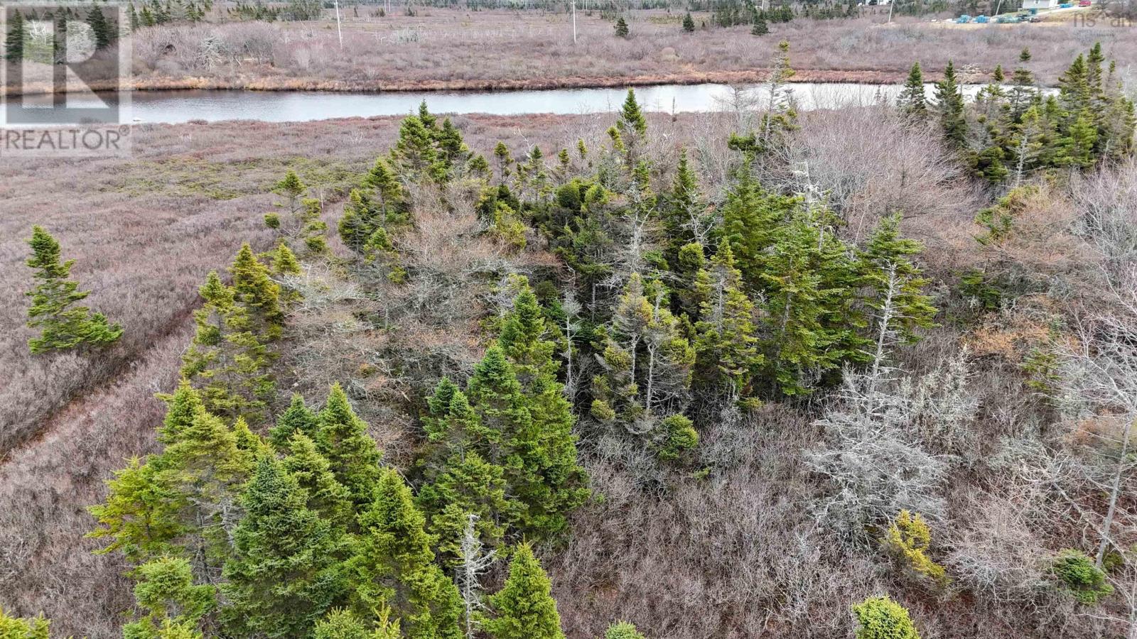 Popes Road, Charlesville, Nova Scotia  B0W 2E0 - Photo 27 - 202600012