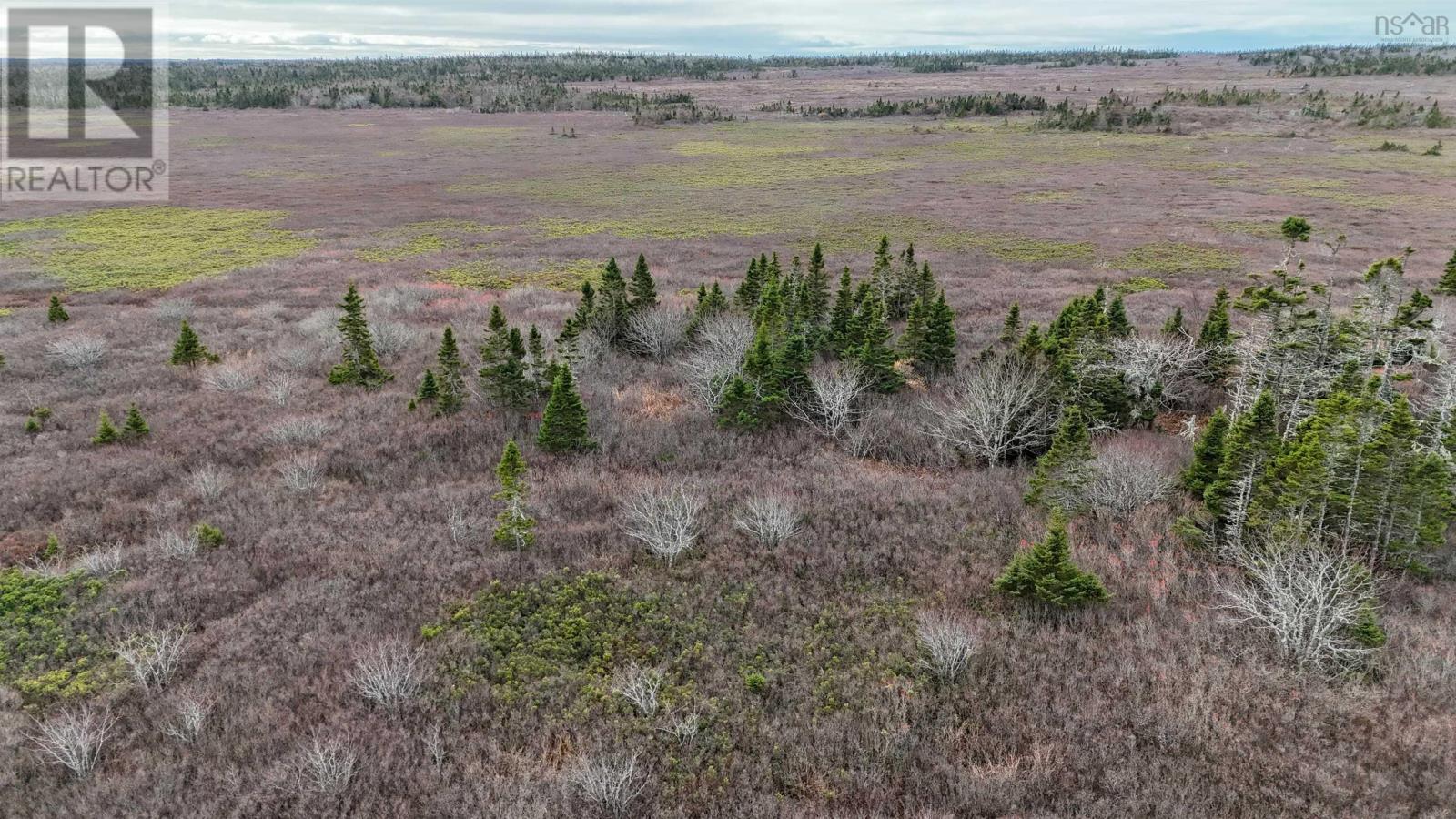 Popes Road, Charlesville, Nova Scotia  B0W 2E0 - Photo 3 - 202600012