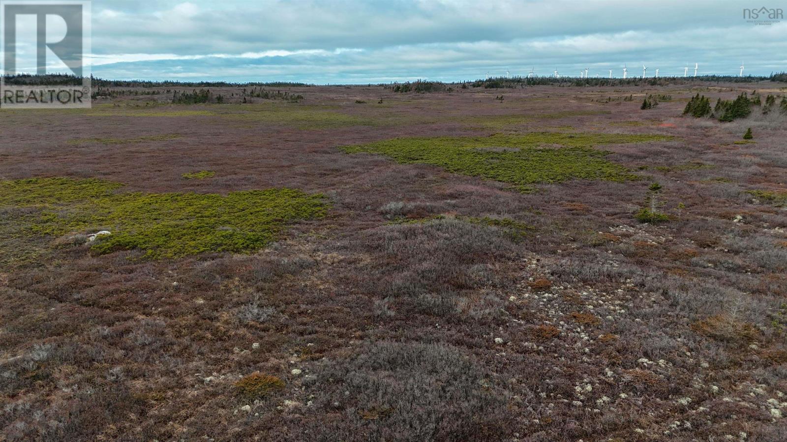 Popes Road, Charlesville, Nova Scotia  B0W 2E0 - Photo 31 - 202600012