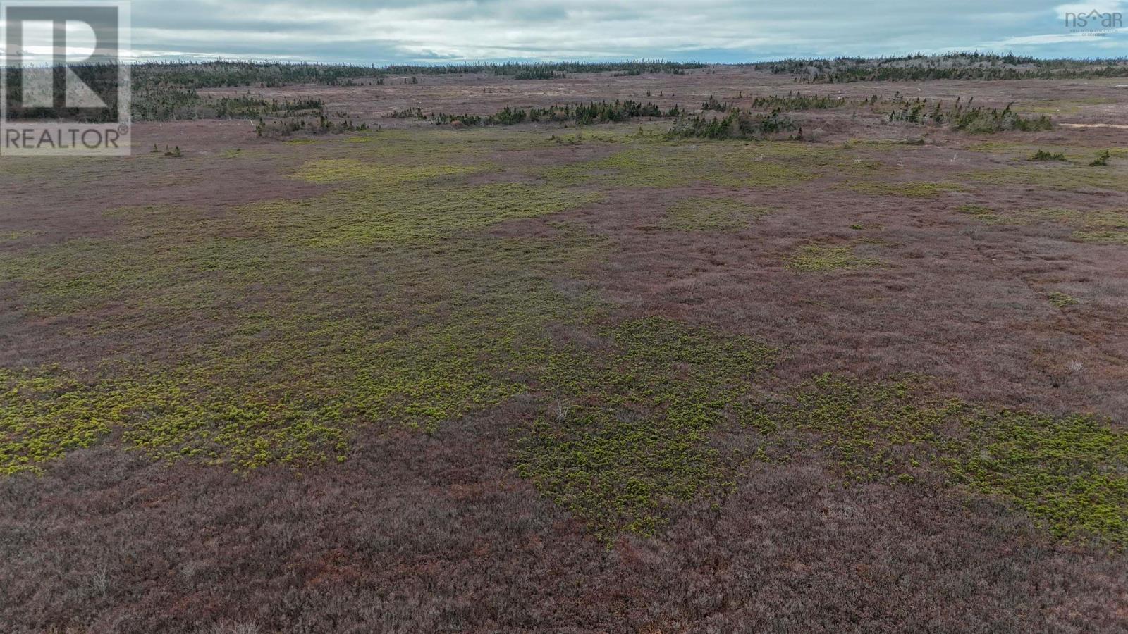 Popes Road, Charlesville, Nova Scotia  B0W 2E0 - Photo 34 - 202600012