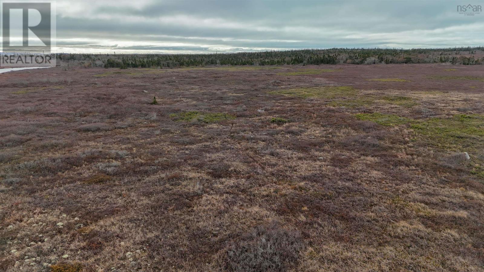 Popes Road, Charlesville, Nova Scotia  B0W 2E0 - Photo 35 - 202600012