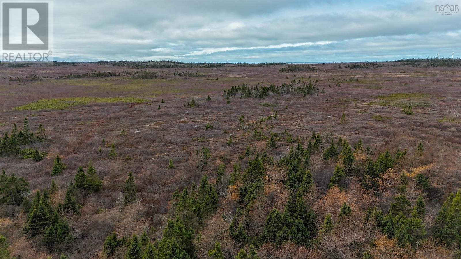 Popes Road, Charlesville, Nova Scotia  B0W 2E0 - Photo 39 - 202600012