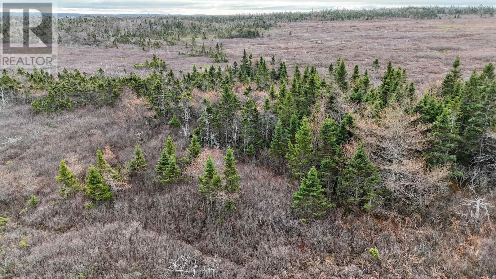 Popes Road, Charlesville, Nova Scotia  B0W 2E0 - Photo 4 - 202600012