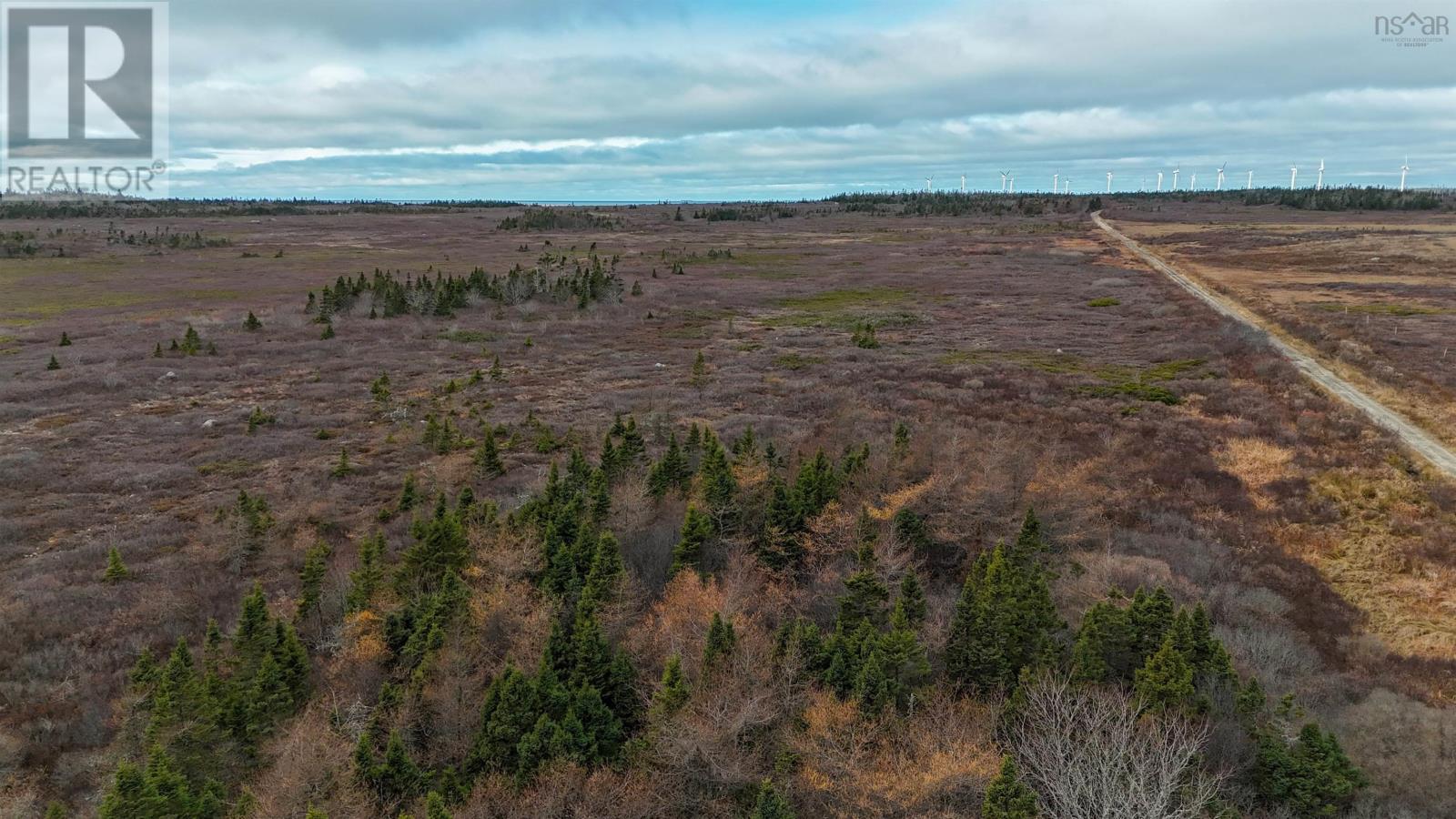 Popes Road, Charlesville, Nova Scotia  B0W 2E0 - Photo 40 - 202600012