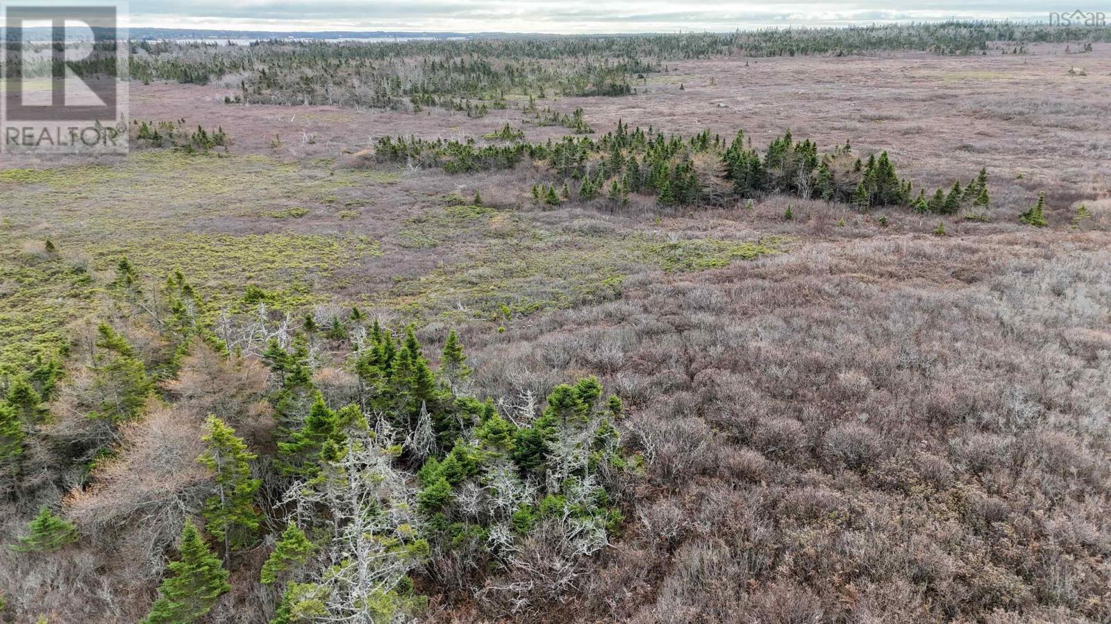 Popes Road, Charlesville, Nova Scotia  B0W 2E0 - Photo 7 - 202600012