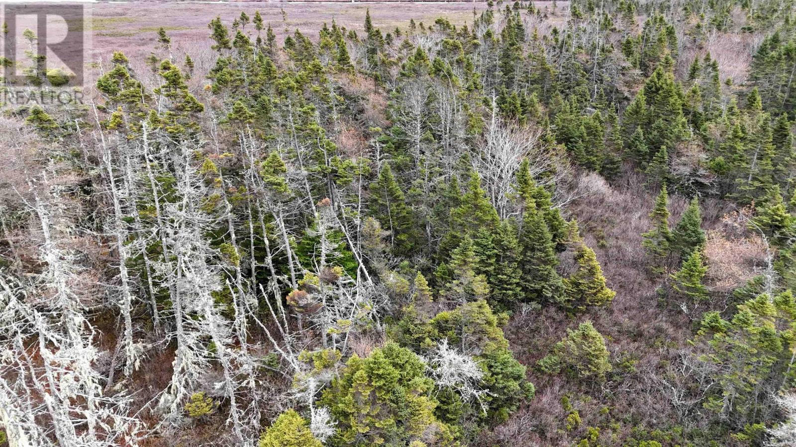 Popes Road, Charlesville, Nova Scotia  B0W 2E0 - Photo 9 - 202600012