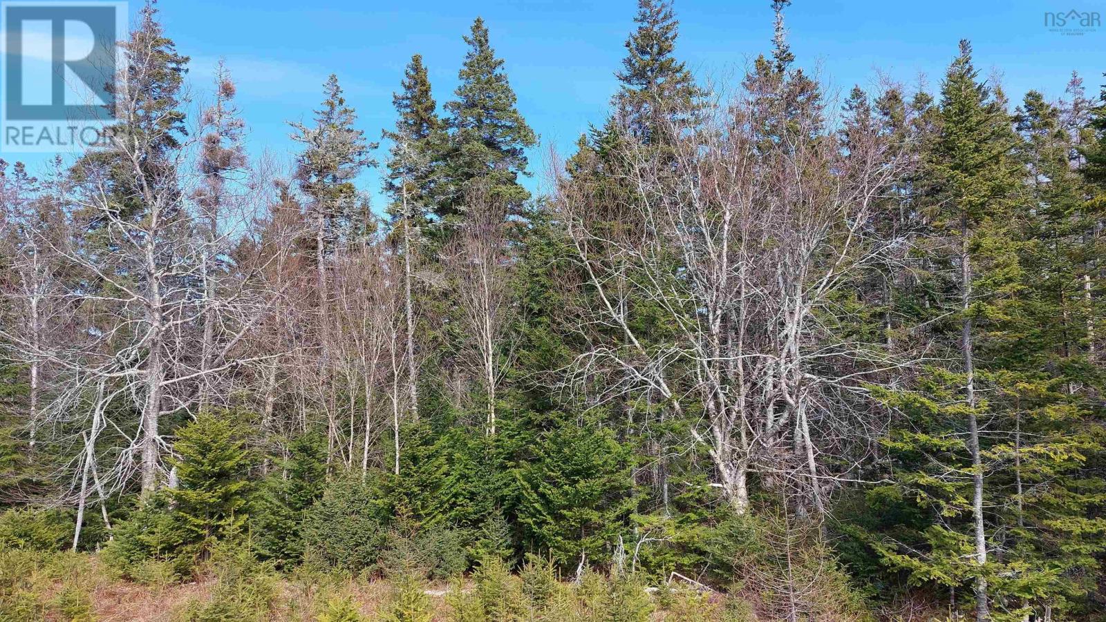 Lot 53 Peter Sosna Dr, Hay Cove, Nova Scotia  B0E 3B0 - Photo 11 - 202600061